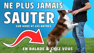 APPRENDRE à NE PAS SAUTER SUR LES GENS