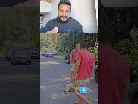 അമ്മയുടെ കയ്യിൽ നിന്നും വീണുപോയ കുഞ്ഞിനെ അമ്മയുടെ കൈകളിൽ എത്തിച്ച മനുഷ്യൻ💙 #shorts #viralreels