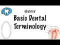 Dental Terminology and Concepts
