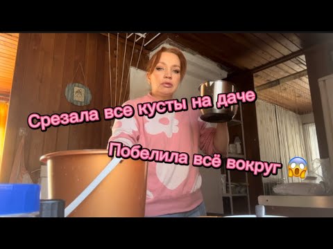 СРЕЗАЛА ВСЕ КУСТЫ НА ДАЧЕ. ПОБЕЛИЛА ВСЕ ВОКРУГ.