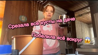 СРЕЗАЛА ВСЕ КУСТЫ НА ДАЧЕ. ПОБЕЛИЛА ВСЕ ВОКРУГ.