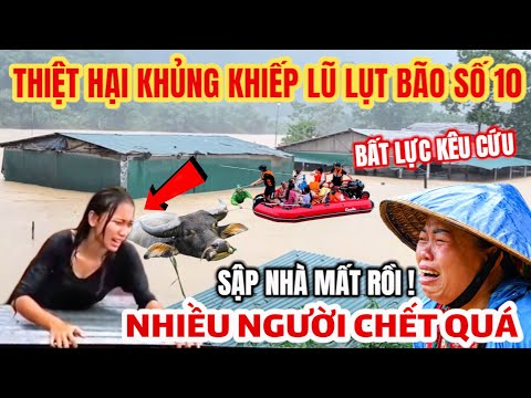 THIỆT HẠI KHỦNG KHIẾP LŨ LỤT BÃO SỐ 10 ! MIỀN BẮC NGẬP LỊCH SỬ, NHÀ SẬP NHIỀU NGƯỜI C.H.Ế.T MẤT TÍCH