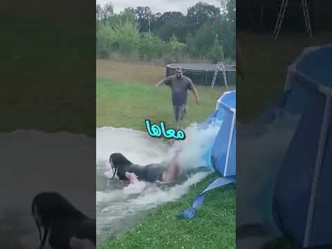 مش هتصدق حصل إيه لما حب يطلع الأب عياله من حمام السباحة  #trending  #غرائب#shorts