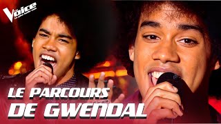 Le Parcours de Gwendal (Jacob dans Tout Pour La Lumière) | The Voice 2014