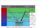 Mineral Identification and Rock Types
