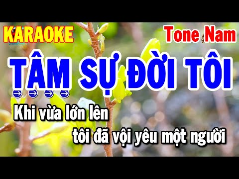 Karaoke Tâm Sự Đời Tôi Nhạc Sống Tone Nam Beat Hay | Thanh Hải