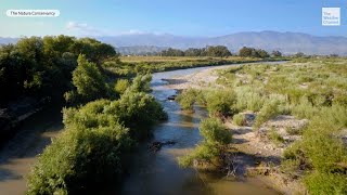 Charging Toward the Future with KIA: Conserving The Santa Clara River Preserve
