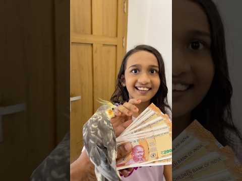 dhamu or cash😱? #minivlog #pets