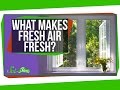 Understanding Indoor and Outdoor Air Quality