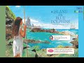 Karana's Survival Strategies on the Island