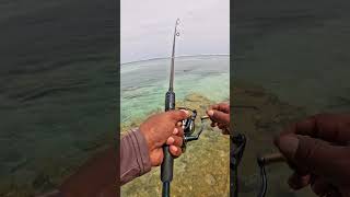 Fishing So Good, Even the Ones That Got Away Were Fun!