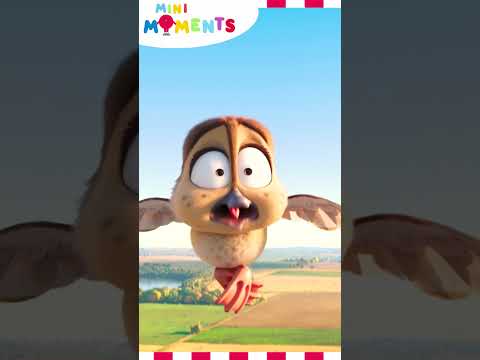 Meet the Mallards! 🦆🐥  | Migration | Mini Moments  #minimoments #migration #shorts