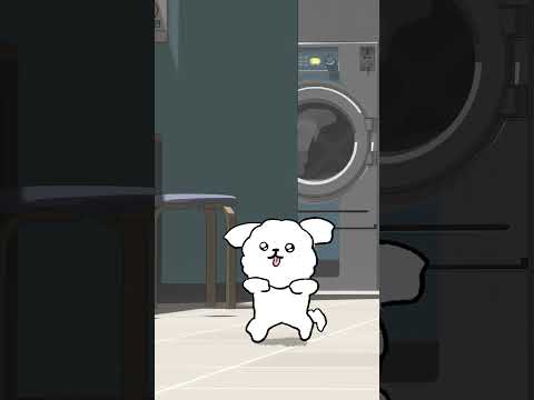 온 세상이 홍박사다 #홍박사챌린지