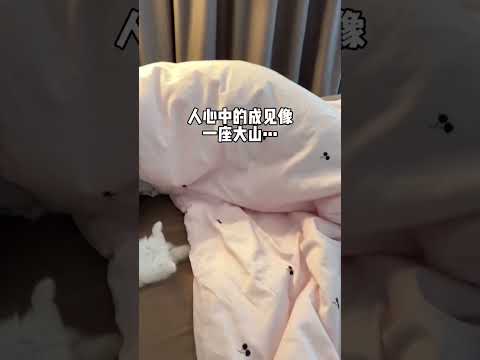 【#皮咔丘是只喵】人心中的成见像一座大山... 打之前:烦死了  打之后:好宝 睡的真香#猫咪统治世界 #小奶猫