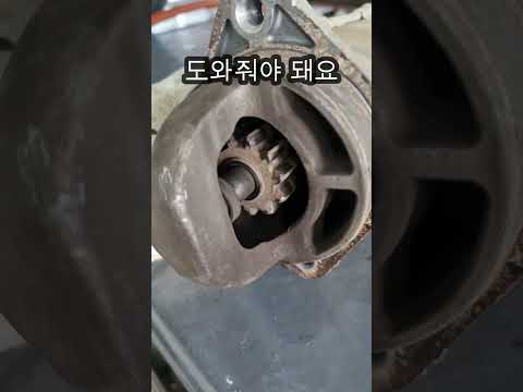 시동이 이렇게 걸리는구나...! #shorts
