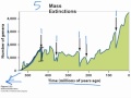 Mass Extinction and Biodiversity Concepts