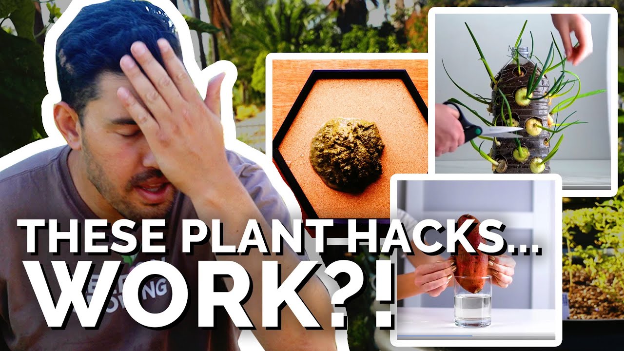 Gardener Reacts to Plant Hacks That. Actually Work!