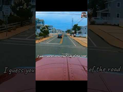 Buncha Animals ??‍♂️?‍♂️?? #animals #dashcam #shortvideo #youtuber #truck #short #funny #NJ #LBI