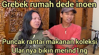 GREBEK RUMAH DEDE INOEN PUNCAK RANTAI MAKANAN KOLEKSI ULAR NYA BIKIN MERIND1NG