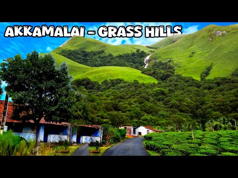 அக்காமலை புல்மேடு வால்பாறை – Grass Hills Valparai! @saravananvlogs