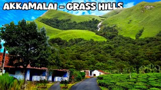 அக்காமலை புல்மேடு வால்பாறை – Grass Hills Valparai! @saravananvlogs