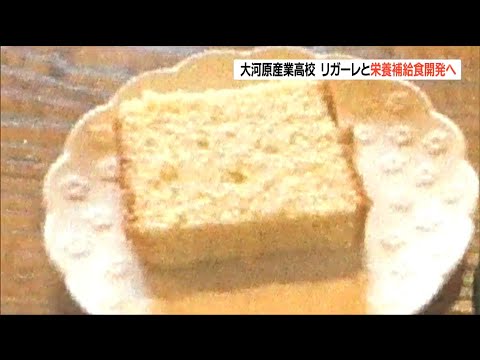 Vリーグ選手を「食」で応援　高校生“メープルシロップカステラ”をチームと共同開発　宮城・大河原町
