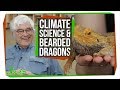 Bearded Dragons and Climate Change Effects