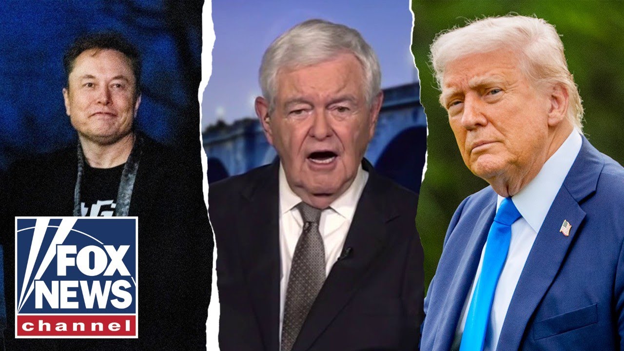 Elon Musk ‘kind of forgot’ this about Trump: Newt Gingrich