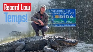Surviving Freezing Temps - How we keep our alligators and crocodiles warms in the winter!