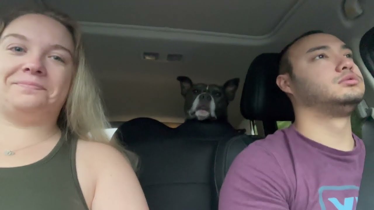Video 2 Thumbnail