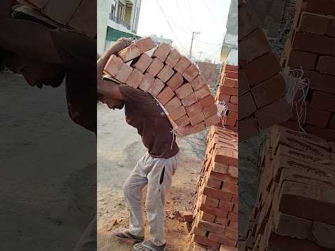 ham#to#majdur#ha#videoshort #blog