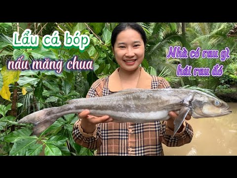 Hái Rau Vườn Vô Làm Nồi Lẩu Cá Bóp Nấu Măng Chua Ngon Nhức Nách - Em Gái Quê