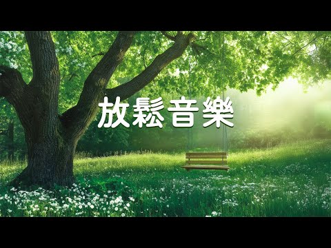 清晨音樂Morning Music 🍀 開啟一整天的好心情｜早晨歌曲帶來積極的一天｜靜心且治愈 放鬆 緩解壓力 冥想 輕音樂鋼琴曲