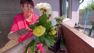 видео