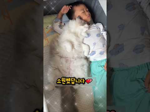지란지교를 꿈꾸며