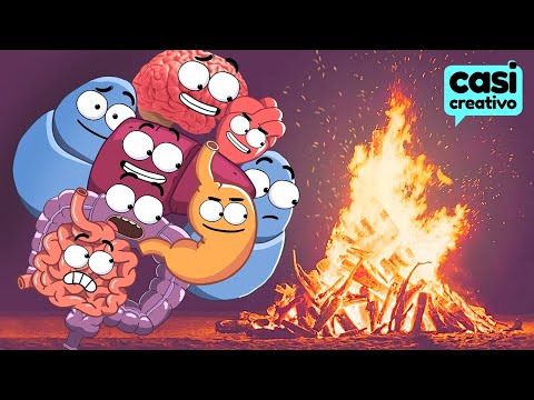 Tu Cuerpo Quemando Calorías | Casi Creativo