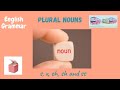 Pluralization Rules and Exceptions