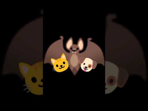 (🐱Cat and dog🐶) Just follow youtube trends,hanya ikutan tren youtube