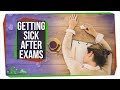 Understanding Stress and the Immune System
