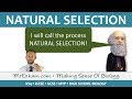 Exploring Darwin's Theory and Antibiotic Resistance