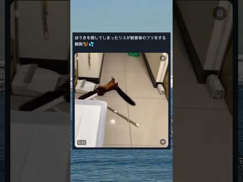 あからさますぎるリスwww #shorts #おもしろ