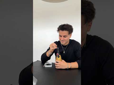 🍾 Champagne Bear Collab 🐻✨