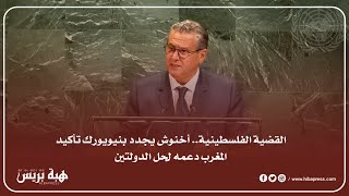 ‏القضية الفلسطينية.. أخنوش يجدد بنيويورك تأكيد المغرب دعمه لحل الدولتين