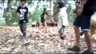 Musang army hc - latihan beatdown