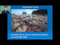 Exploring Marine Ecosystems