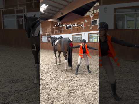 Which one are you? 😂🐴 #equestrian #horse #horseriding