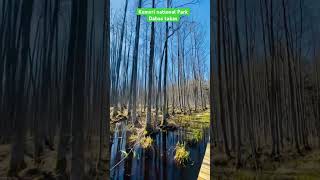 Dabas Takas #Kemerinationalpark #park #Latvia #Jurmala #walking