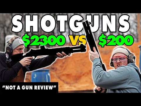 Expensive vs Budget Shotguns (Not A Gun Review)