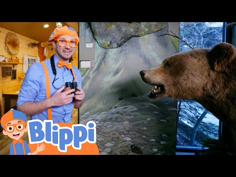 Bear vs Blippi at the MK Nature Center | Animal Adventure For Kids | Blippi Learning