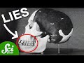 Understanding the Piltdown Man Hoax